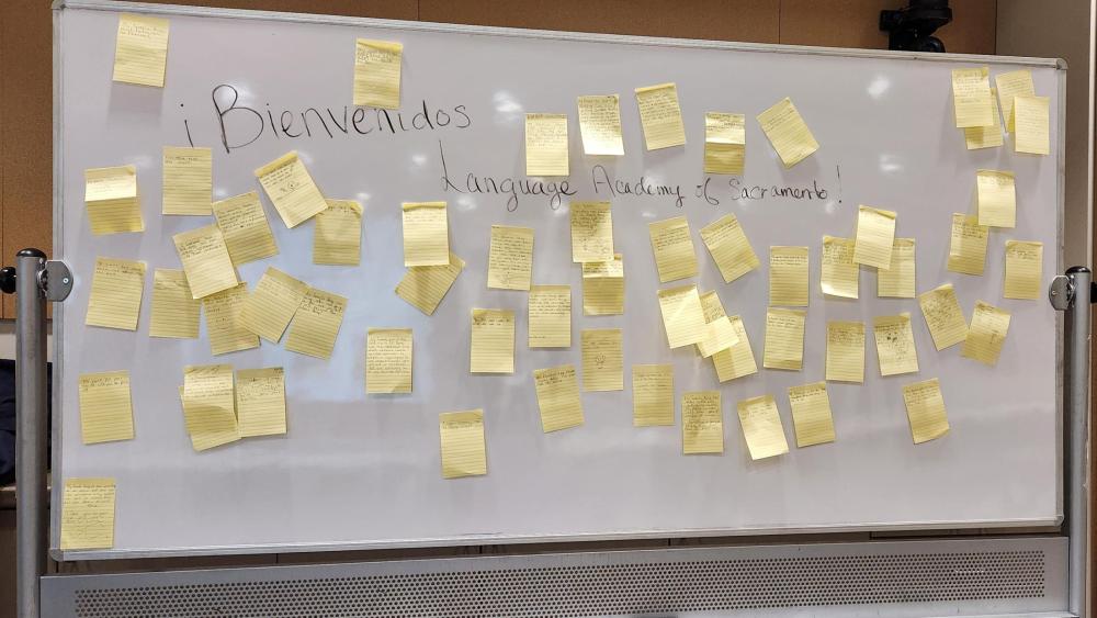 Notes from students about what they learned or liked best about Discovery Day. Photo courtesy of Laura Niznik Williams.