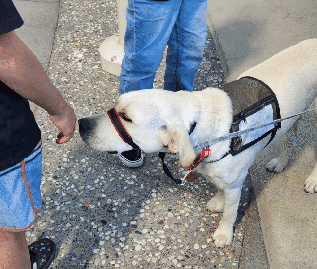UC Davis Police dog Cali interacts with students. Photo courtesy of Laura Niznik Williams.